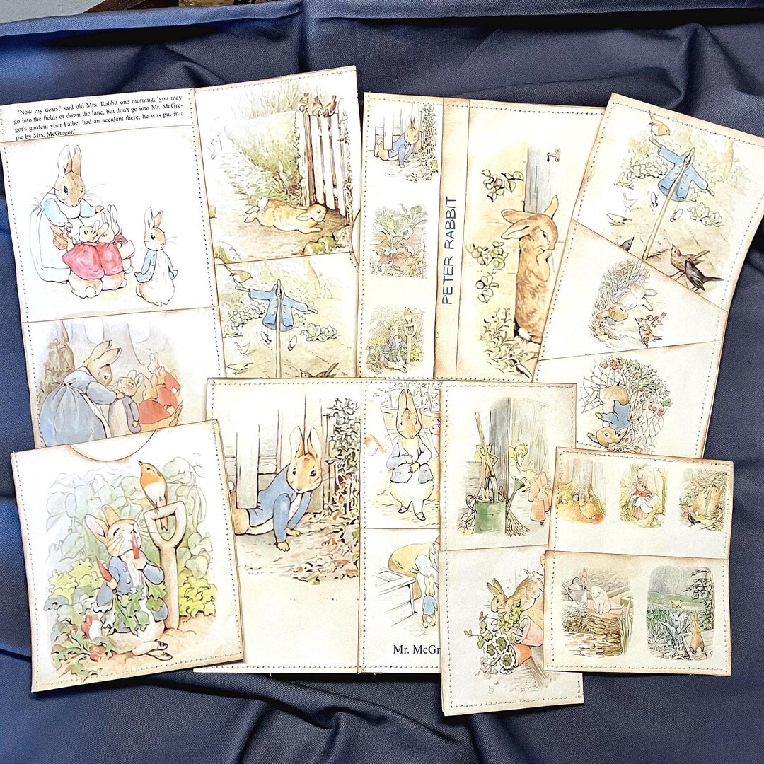 Peter Rabbit Pockets for Journals, Notebooks - Etsy