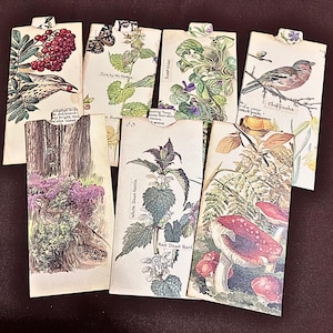 4 pochettes minces Edith Holden avec carnets