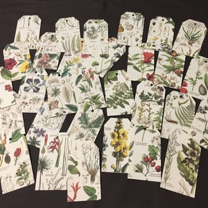 Botanical Print Tags - 2” x 3-1/2”. Set of 10 or 25