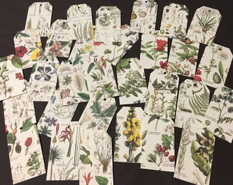 Botanical Print Tags - 2” x 3-1/2”. Set of 10 or 25