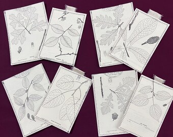 Black & White Book Page Pockets with Journaling Cards.  Botanical / Tree Book Oage Pockets with journaling cards.