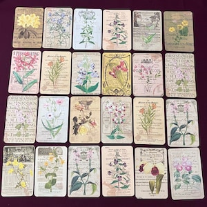 Tarjetas de diario con aspecto antiguo: flores sobre impresiones de documentos