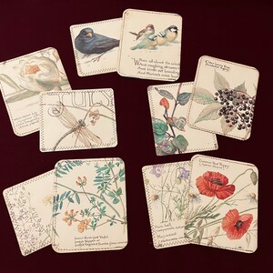 Cartes de poche Edith Holden avec cartes de journalisation supplémentaires, journalisation éphémère