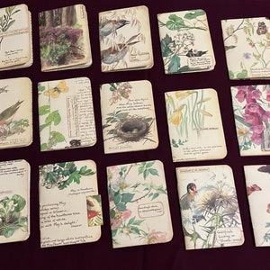 Minidiario de Edith Holden, minicuaderno vintage Country Diary, minicarpetas para diario, material efímero para llevar un diario. AHORA en 2 anchos diferentes