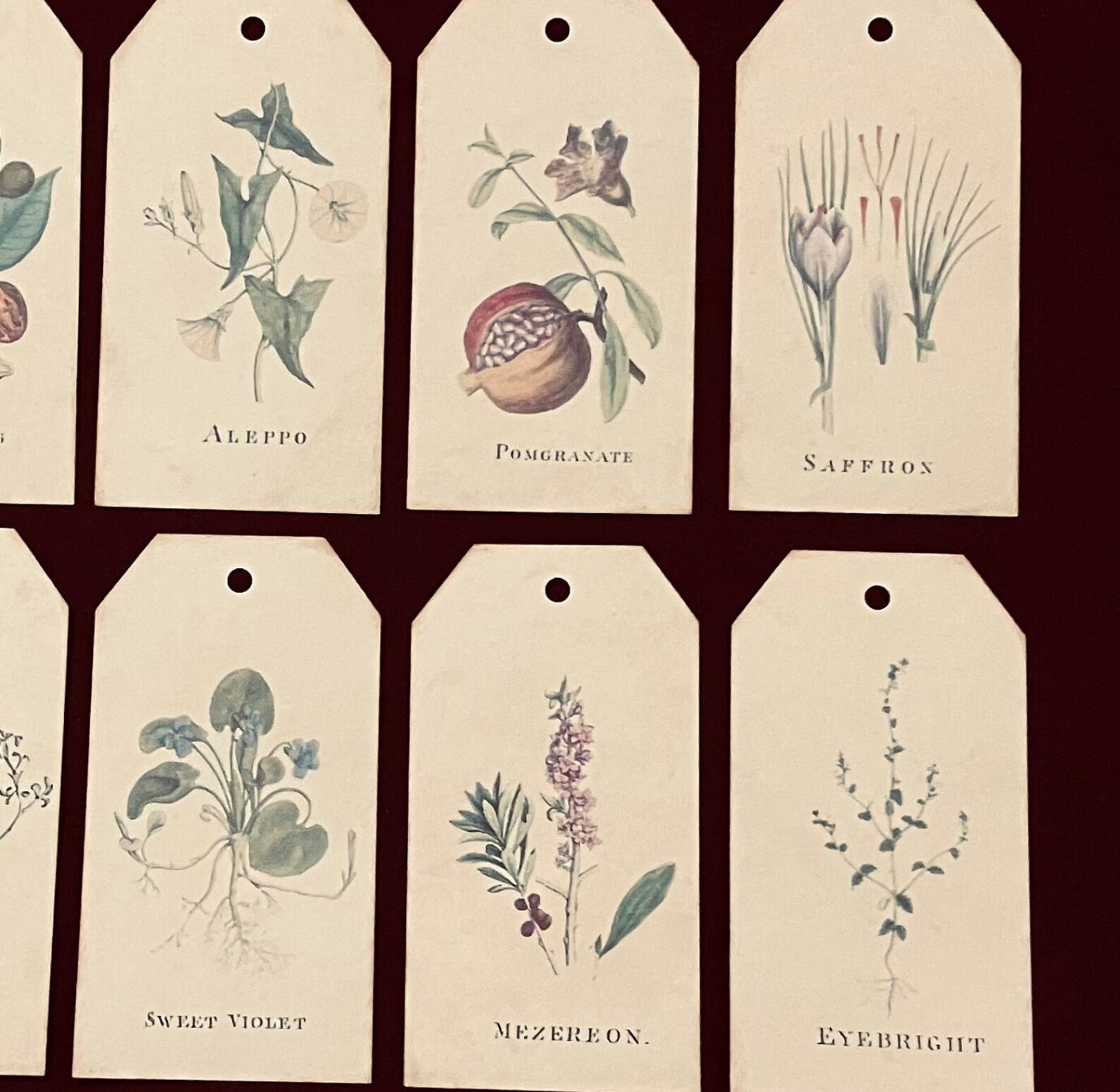 Botanical Journal Tags - A Botanist’s Dream. Gift Tags. - Etsy