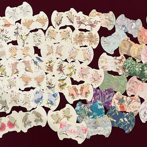 25 Rare Birds Tabs Round Tab, Whale Tail Tabs