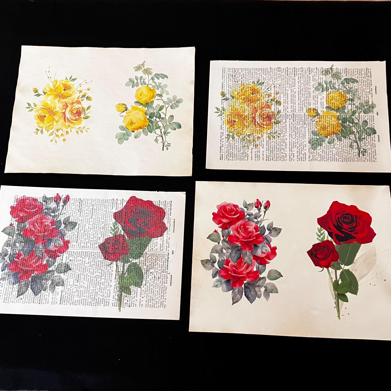 Floral Print Set: Vintage Dictionary Page or Tea Dyed Paper - Etsy
