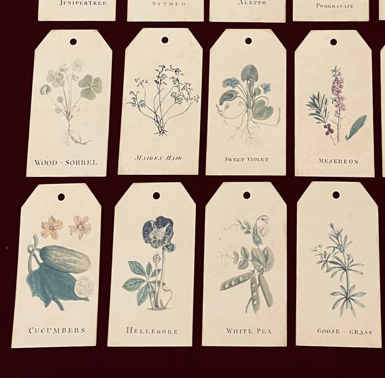Botanical Journal Tags - A Botanist’s Dream. Gift Tags. - Etsy