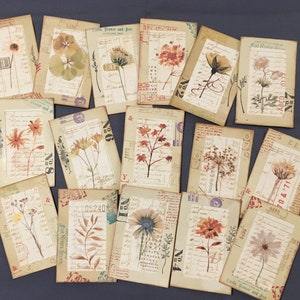 Cartes de journalisation de spécimens botaniques, cartes de spécimens botaniques en couches