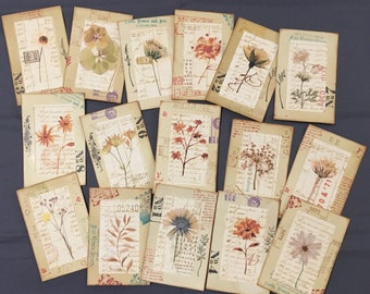 Botanical Specimen Journaling Cards, Layered Botanical Specimen cards