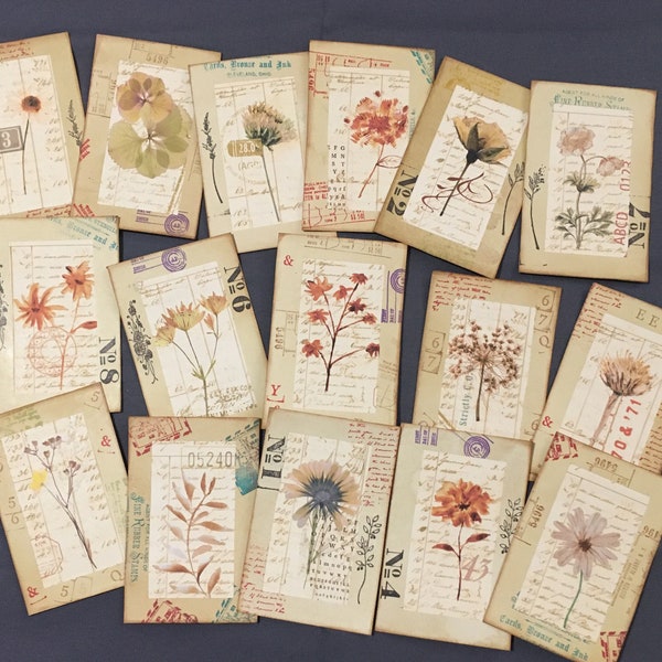 Botanical Specimen Journaling Cards, Layered Botanical Specimen cards