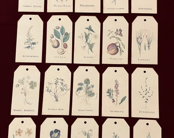 Botanical Journal Tags   - A Botanist’s Dream.  Gift Tags.