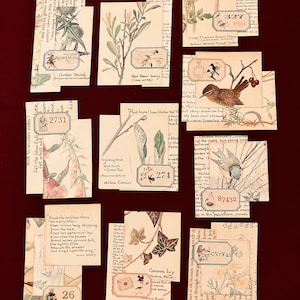 May include: A collection of vintage botanical illustrations featuring various plants and birds. The illustrations are printed on paper cards with handwritten text and numbers. The cards are arranged in a collage style, creating a whimsical and nature-inspired design.