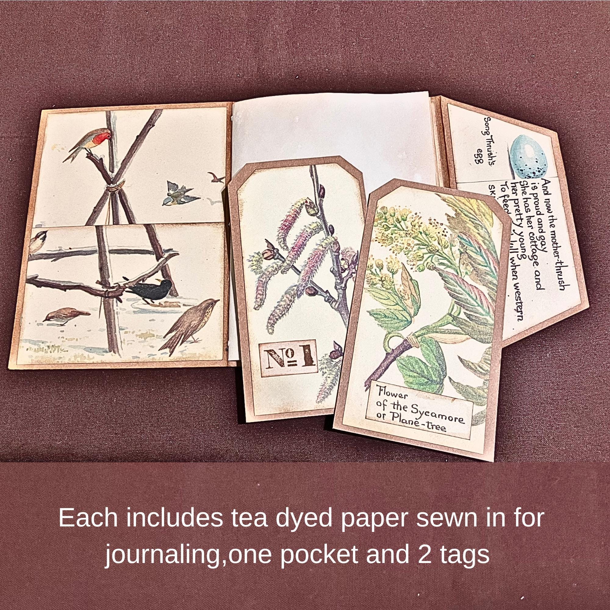 Edith Holden Small Folio Journal - Etsy