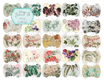Vintage Botanical Round Tabs - 25 Tabs - Whale Tail Punch Style