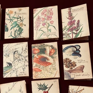 Edith Holden Tiny Notebooks, Journaling Spots, 3er, 5er oder 8er Set