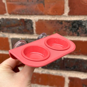 Suction Cup Food Ledge For Reptiles