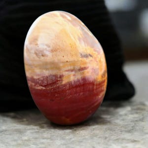 Polished Petrified Wood Point: 3&quot; Healing Crystal for Grounding
