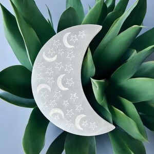 May include: A white crescent moon-shaped selenite crystal with etched stars and moons. The crystal is resting on a bed of green leaves.