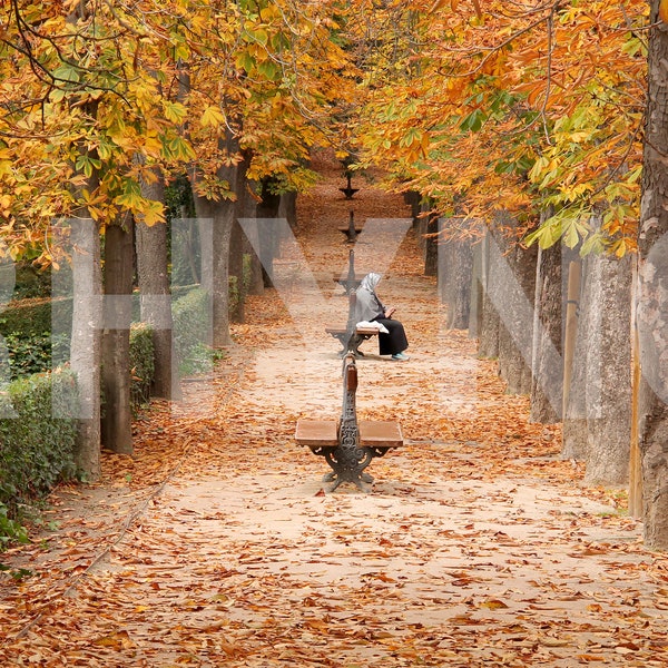 Photo of Parque de El Retiro in the Fall, Madrid, Spain; Digital Download