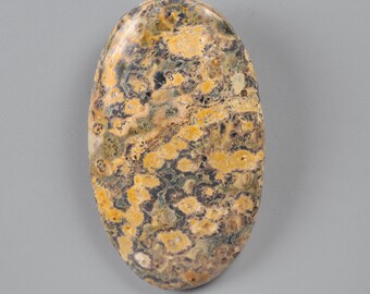 Leopard skin jasper cabochon 46x60x8mm