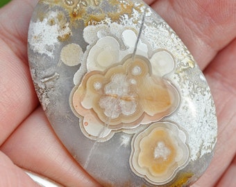 Mexican Crazy Lace Agate 40x24x6mm