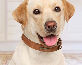 Collar de perro de cuero grabado personalizado Regalo personalizado del collar de perro para el amante de las mascotas
