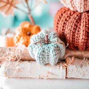 May include: A collection of handmade, knitted pumpkins in various colors, including teal, orange, and rust. The pumpkins are arranged on birch logs, creating a rustic and autumnal display. The pumpkins are a cozy fall decoration.