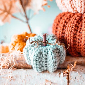 May include: A collection of handmade knitted pumpkins in shades of orange, light blue, and beige. The pumpkins are arranged on a rustic wooden surface, with dried leaves and twigs adding to the autumn theme. The pumpkins vary in size and texture.