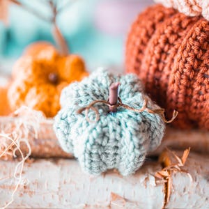 May include: Close-up of several handmade crochet pumpkins in shades of orange, teal, and rust. The pumpkins are arranged on a birch log, creating a rustic fall theme. The pumpkins vary in size and have brown stems.