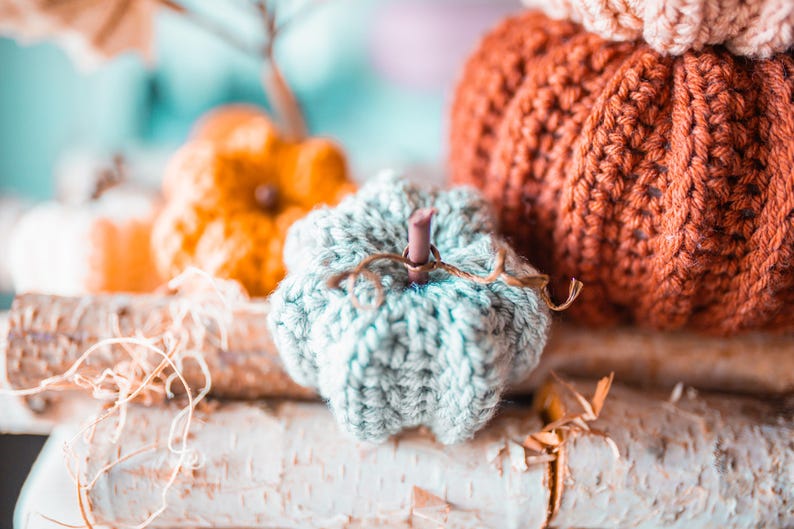 May include: Close-up of several handmade crochet pumpkins in shades of orange, teal, and rust. The pumpkins are arranged on a birch log, creating a rustic fall theme. The pumpkins vary in size and have brown stems.