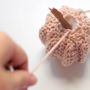 May include: A handmade, light pink knitted pumpkin with a cinnamon stick stem. A length of matching yarn is attached, suggesting it's part of a craft project. The pumpkin is on a white background.