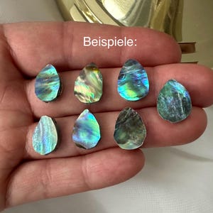 May include: Seven iridescent abalone shell teardrop shapes in various shades of green, blue, and purple. The word "Beispiele" is visible in the image.