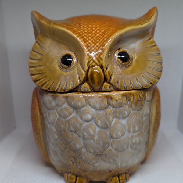 Vintage Brown Ceramic Owl Canister/Jar