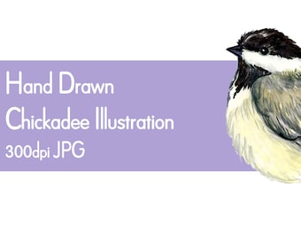 Chickadee Illustration: Printable Bird Clip Art (PDF, JPG)