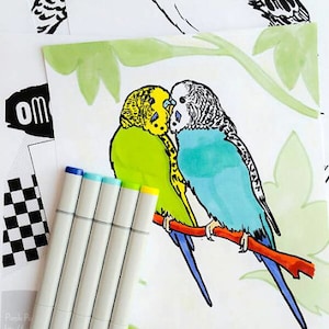 Budgies coloring book printable PDF, bird colouring book, instant digital download parrot coloring pages, parakeet or budgerigar pets image 1