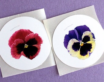 Puede incluir: Dos pegatinas redondas con fondo blanco y el texto "Purple Pony Art" impreso en gris. Cada pegatina presenta una pintura de acuarela de una pensamiento. Una pensamiento es roja y la otra es morada y amarilla.