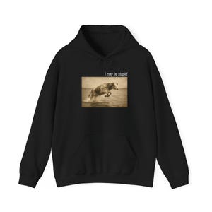 May include: Black hoodie with a kangaroo pocket. The front displays a sepia-toned image of a dog jumping through water, with the text "i may be stupid" above the image.