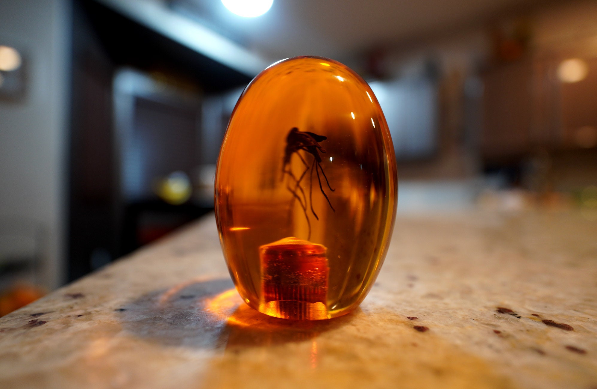 Jurassic Park Replica Amber Mosquito Shift Knob Etsy