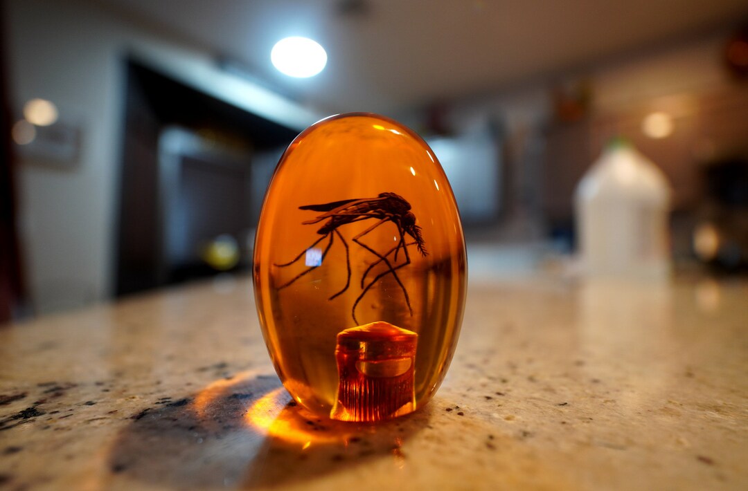Jurassic Park Replica Amber Mosquito Shift Knob Etsy