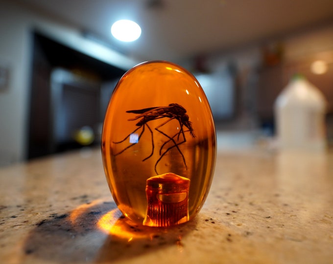 Jurassic Park Knob Etsy