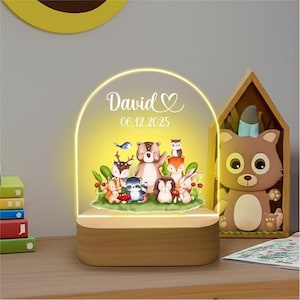 Personalized Acrylic 3D LED Night Light for Baby Boys Girls Kids Night light Kids Room Decor Custom Name Night light Birthday Gift Boy Girl