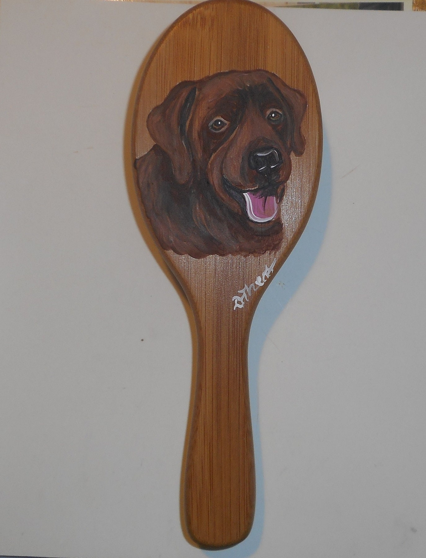 How Do You Brush A Labrador Retriever