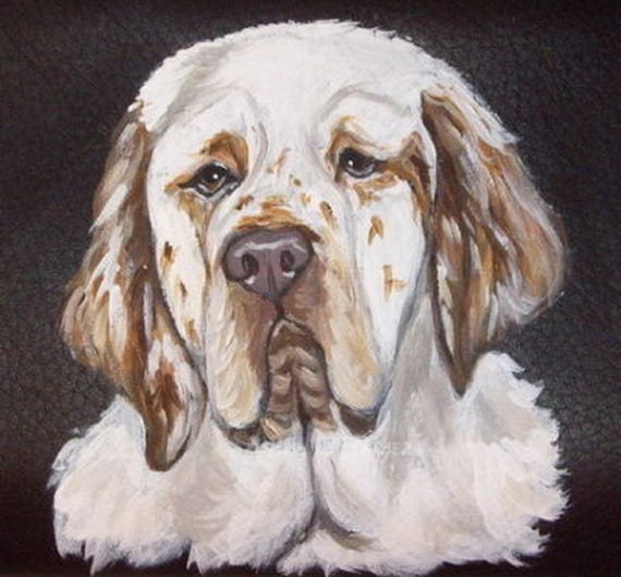 Clumber Spaniel Phone Case Wallet Clumber Spaniel Phone Case Wallet