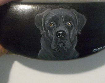 Cane Corso Dog Sunglass Case, Hand Painted Eyeglass Case