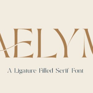 Aelyn Font, Display Font, Script Font, Wedding Font, Modern Font, Branding Font, Cricut Font , Font For Logo, Wedding Invitations Font
