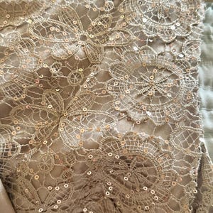 Puede incluir: Primer plano de un vestido formal con intrincada superposici&oacute;n de encaje y adornos de lentejuelas. El vestido es de color champ&aacute;n neutro, con un delicado patr&oacute;n de encaje floral. La etiqueta Anna Papell es visible.