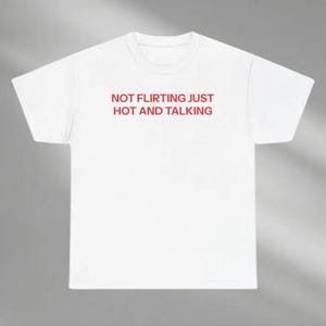 May include: A white t-shirt with the red text "NOT FLIRTING JUST HOT AND TALKING" printed across the front. The shirt has a crew neck and short sleeves. The image is a close-up of the shirt.