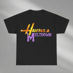 Having A Meltdown Shirt, Vintage 90s Style, Teenager Movie Shirt, Pop Singer Birthday Gift, Adult Kid Toddler Tee