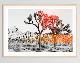 Joshua Tree Photograph, Desert Print, Southwestern Landscape Photography, Boho Art Print, Cactus Print, Desert Wall Art, Joshua Tree Print